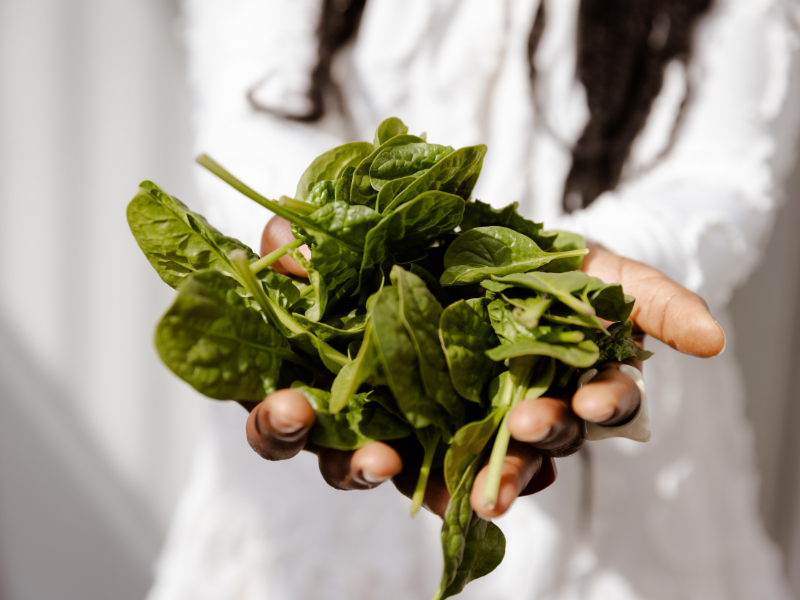 Hand vol verse spinazie
