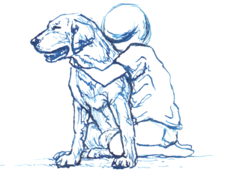 Verhalenbundel dierondersteunde interventies