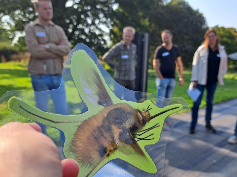 Werksessie Biodiversiteit in Aanleg en Beheer