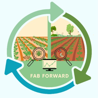 fabforward logo