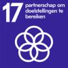 SDG 17