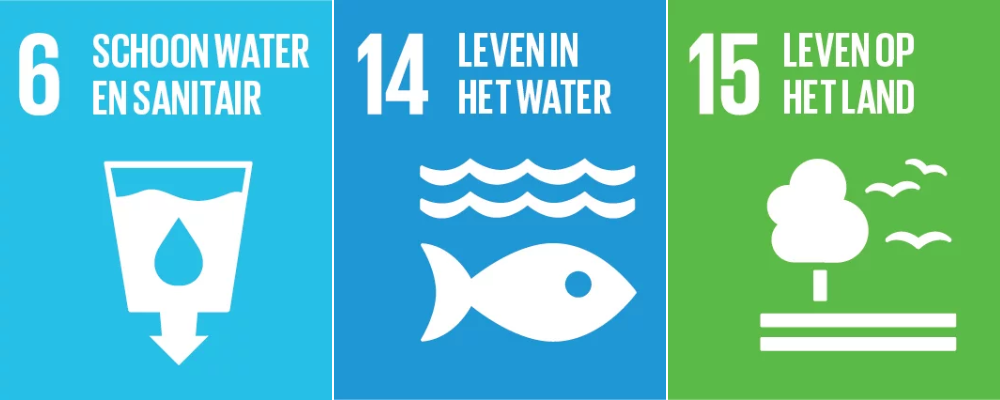 Sustainable Development Goals