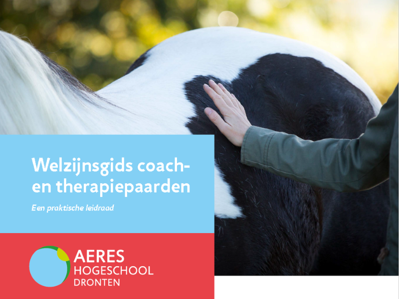 Welzijnsgids coach en therapiepaarden