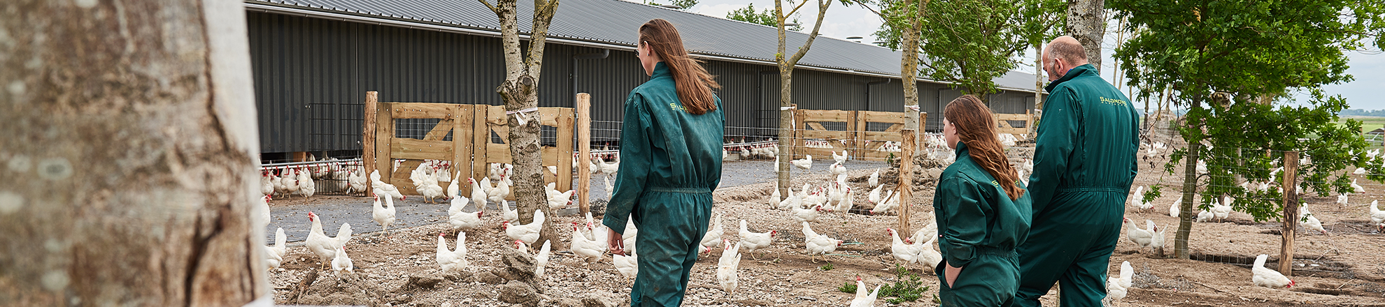 header dier- en veehouderij