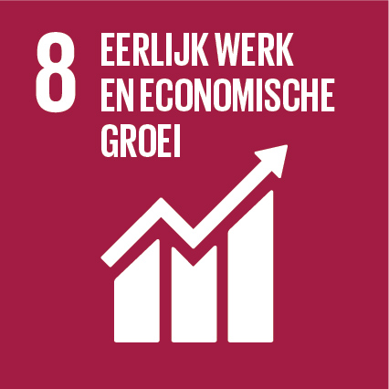 Sustainable Development Goal nummer 8, Eerlijk werk en economische groei