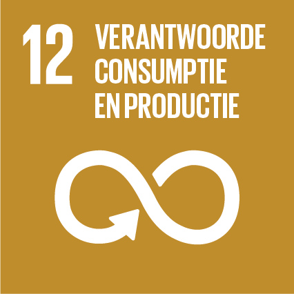 Sustainable Development Goal nummer 12, Verantwoorde consumptie en productie