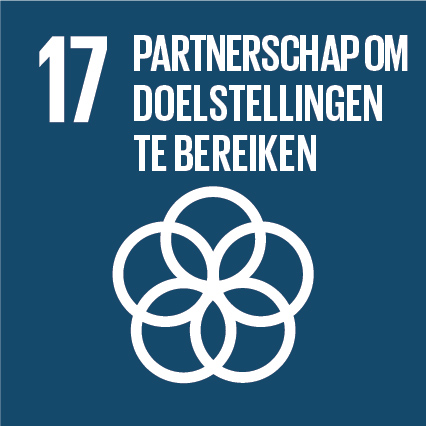 Sustainable Development Goal nummer 17, Samenwerking om doelstellingen te bereiken
