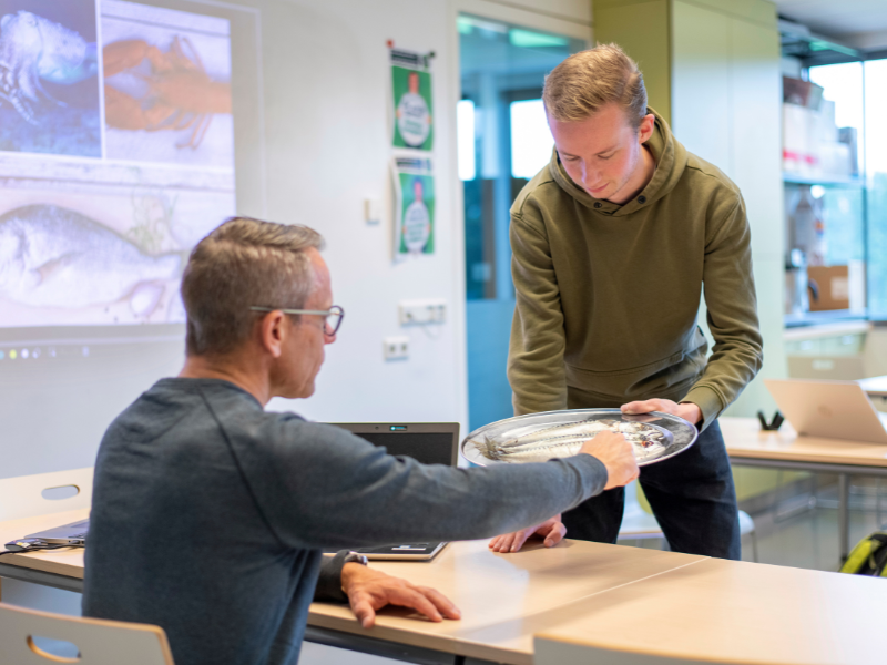 Bachelor deeltijd opleiding Docent en kennismanager Horeca bakkerij en recreatie Aeres Hogeschool Wageningen