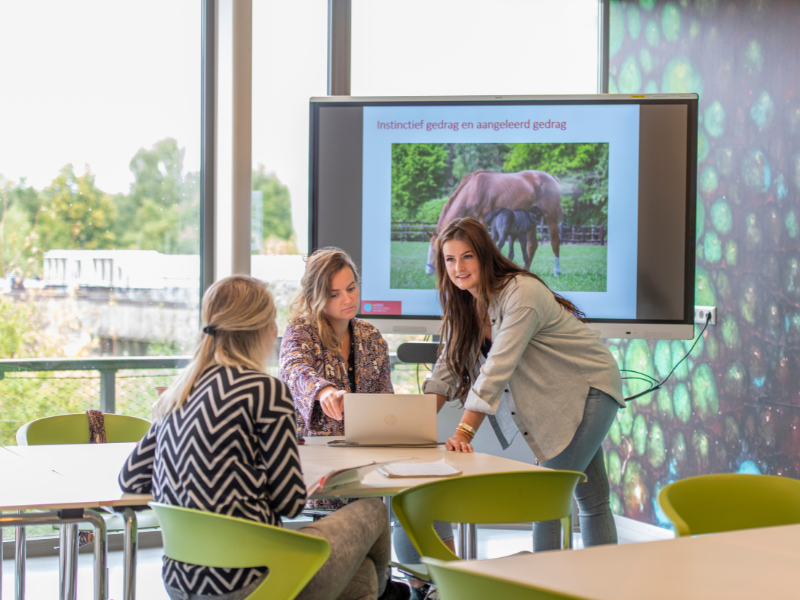 Bachelor deeltijd opleiding Docent en kennismanager Paardensector Aeres Hogeschool Wageningen
