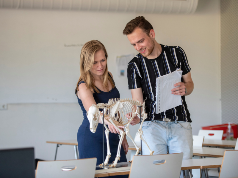 Bachelor deeltijd opleiding Docent en kennismanager Recreatie en gezelschapsdieren Aeres Hogeschool Wageningen