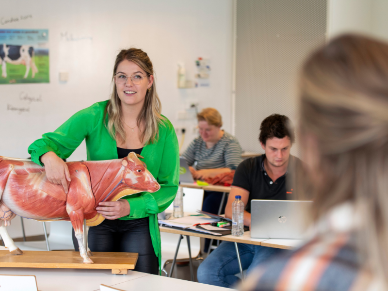 Bachelor deeltijd opleiding Docent en kennismanager Veehouderij Aeres Hogeschool Wageningen