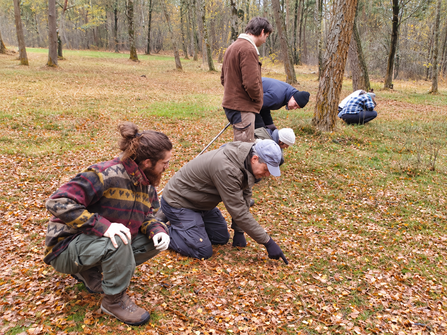 mannen zoeken sporen in het bos