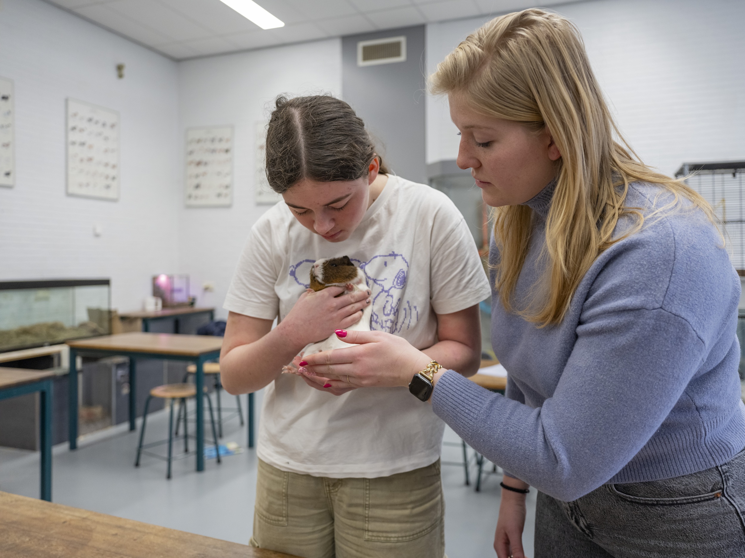 Docent legt uit aan student met cavia in klaslokaal