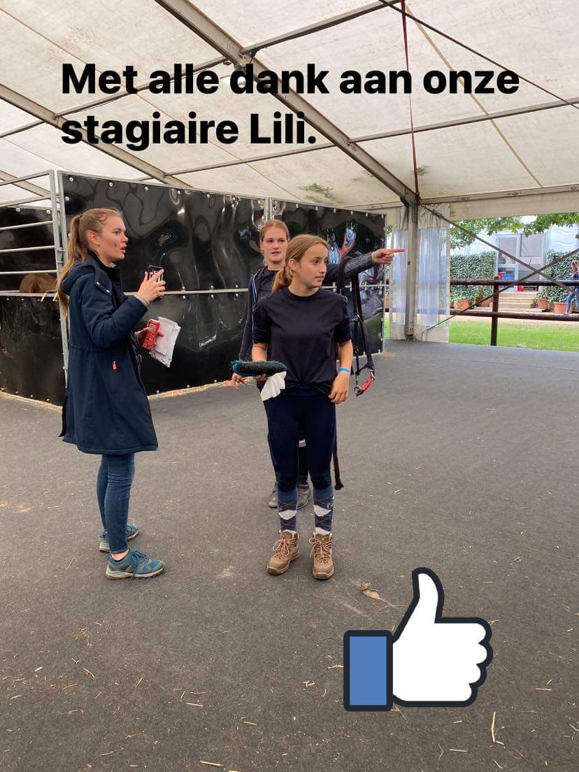Dank stagiaire Lili DKM Paardensector