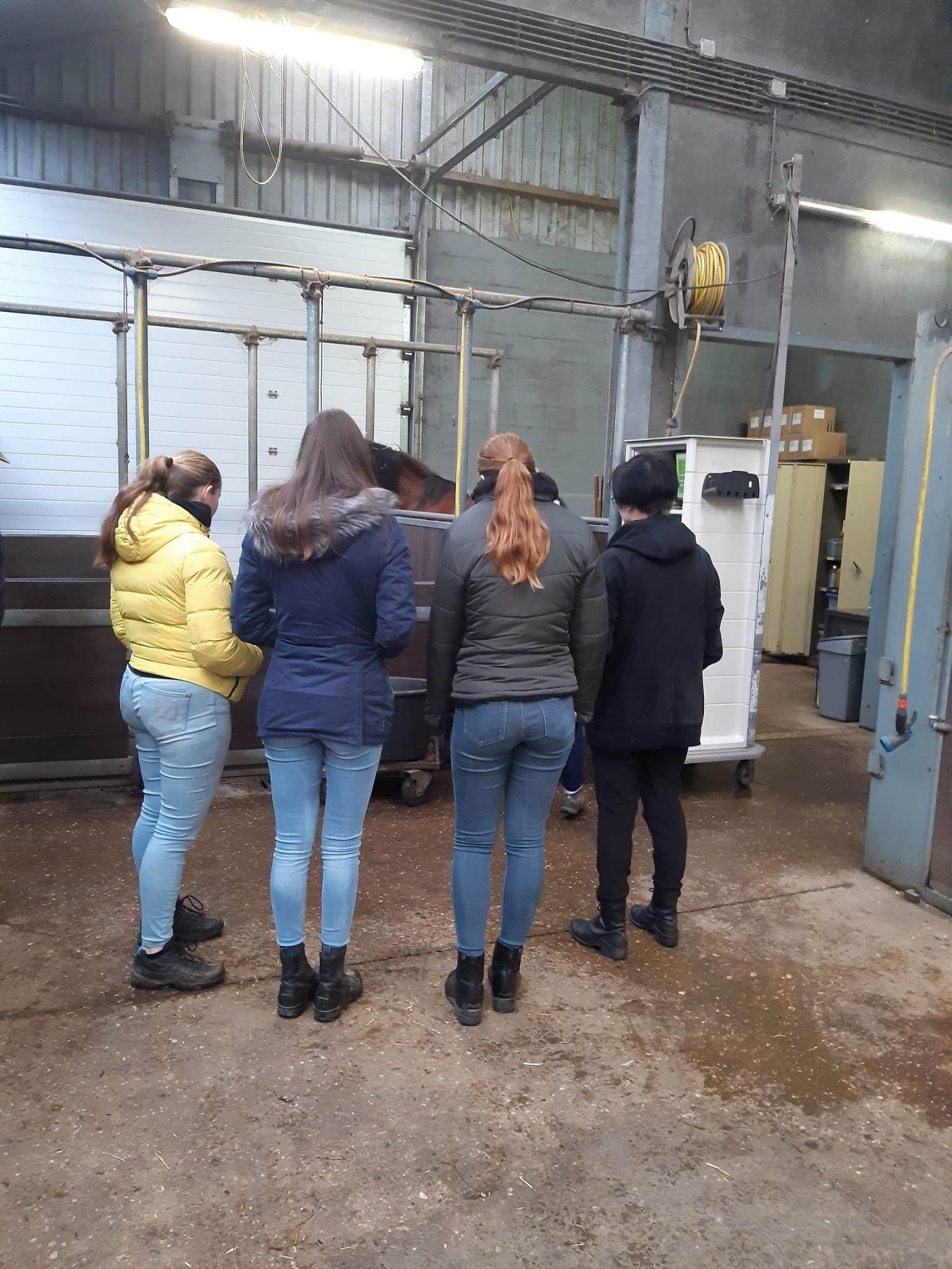 Studenten in paardenstal