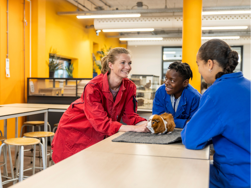 Student DKM Recreatie en gezelschapsdieren Deeltijd