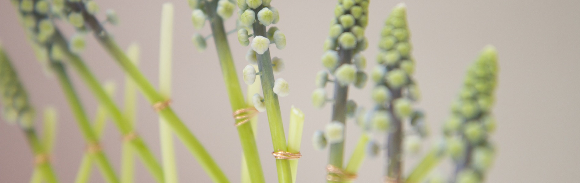 Bloemsierkunst hoog niveau metaal binden