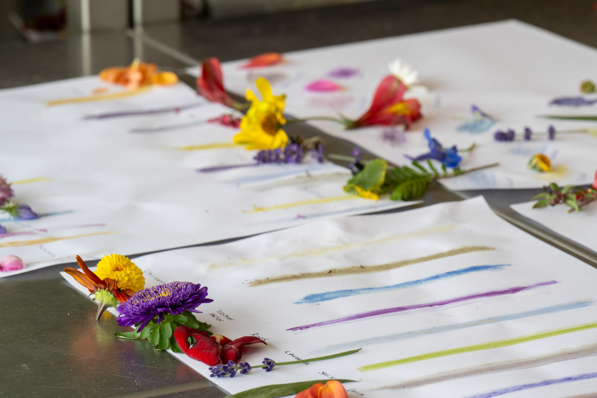 plantaardig vormgeven 3