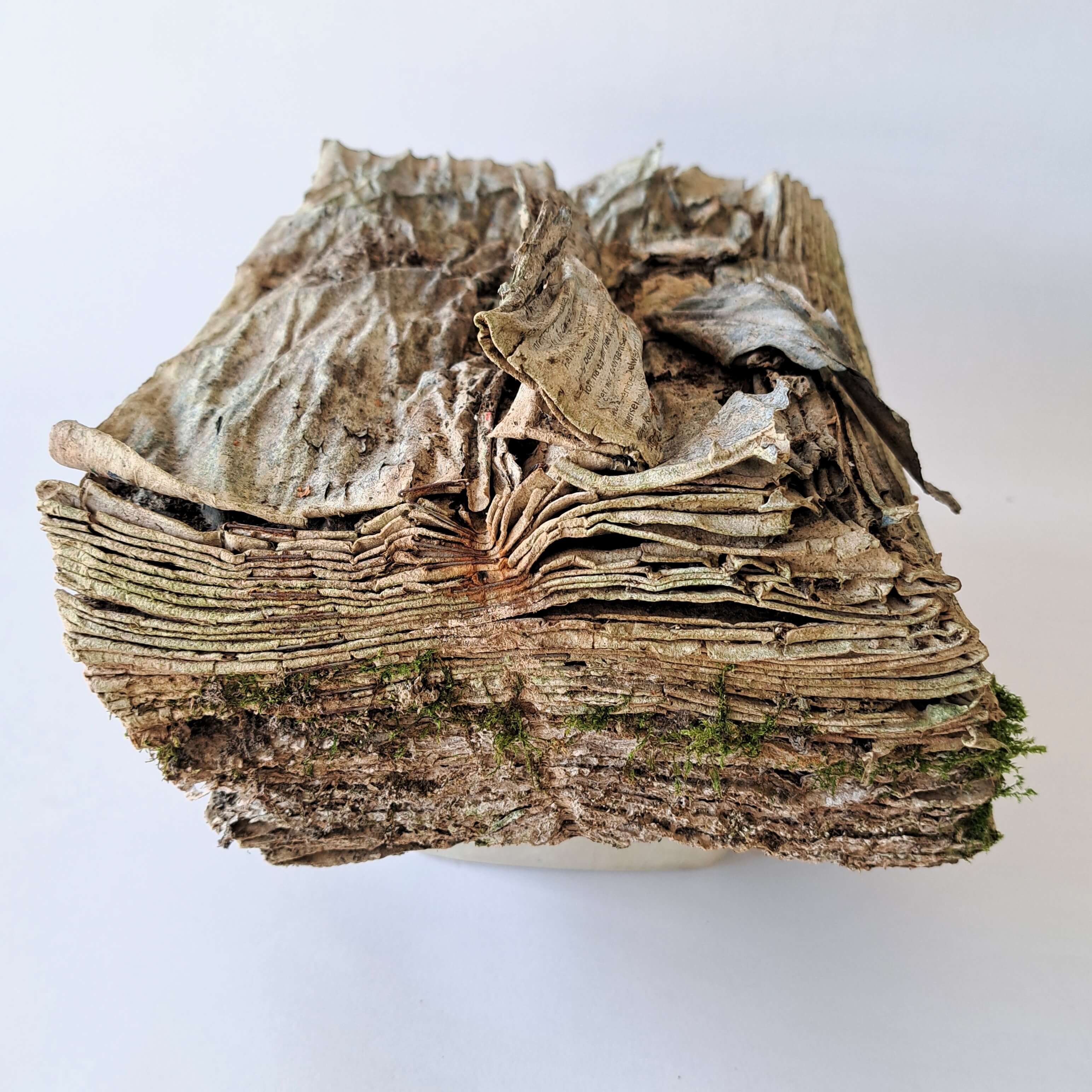 Ad Plantaardige vormgeving 