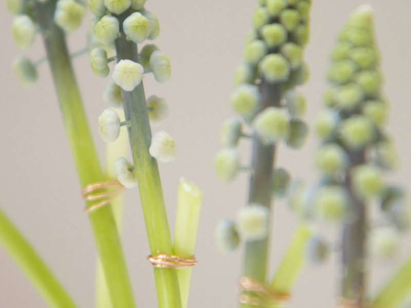 Bloemsierkunst hoog niveau metaal binden