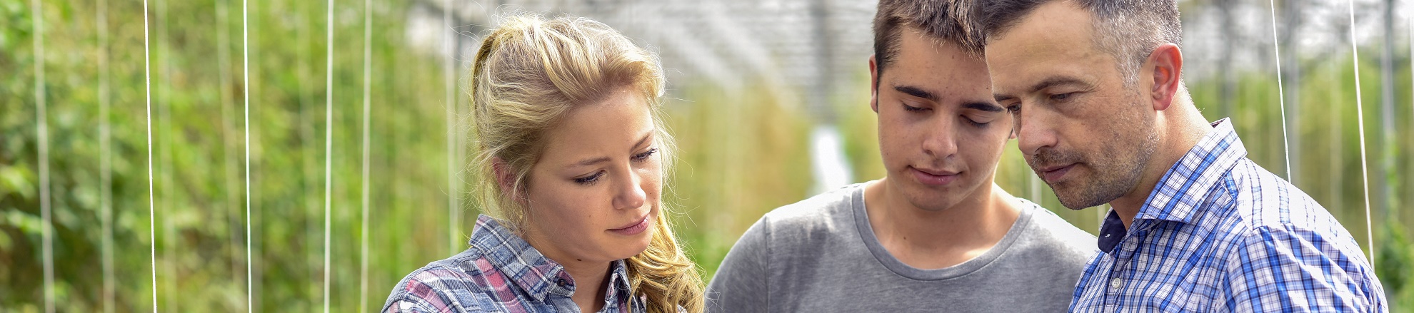 Groene sector docent met studenten in kas