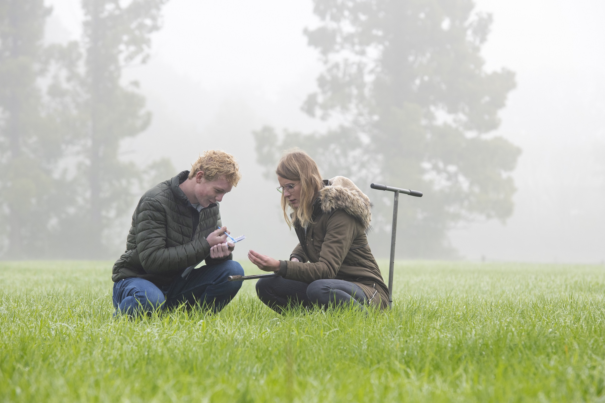 studenten in het gras buiten