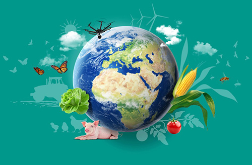 Hoofdbeeld meerjarenstrategie 2023-2027